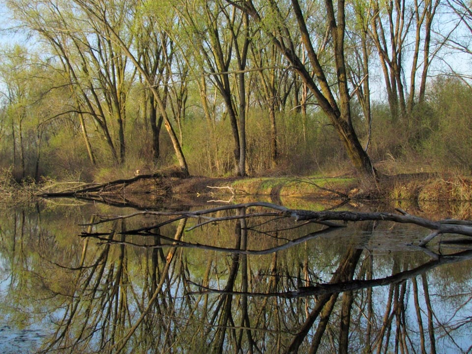 Sunnyside Conservancy 2